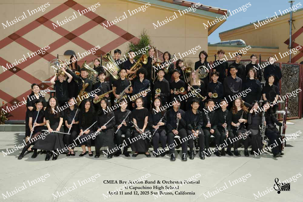 Musical Images